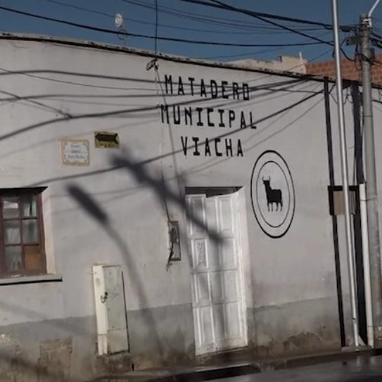 MATADERO MUNICIPAL GARANTIZA ABASTECIMIENTO DE CARNE A NIVEL LOCAL